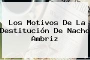 Los Motivos De La Destitución De <b>Nacho Ambriz</b>