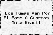 Los Pumas Van Por El Pase A Cuartos Ante <b>Brasil</b>
