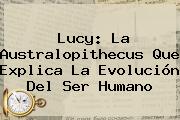 <b>Lucy</b>: La <b>Australopithecus</b> Que Explica La Evolución Del Ser Humano