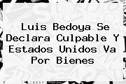 <b>Luis Bedoya</b> Se Declara Culpable Y Estados Unidos Va Por Bienes