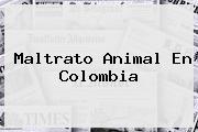 <u>Maltrato Animal En Colombia</u>