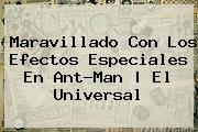 Maravillado Con Los Efectos Especiales En <b>Ant</b>-<b>Man</b> | El Universal