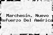 <b>Marchesín</b>, Nuevo Refuerzo Del América