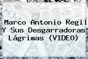 <b>Marco Antonio Regil</b> Y Sus Desgarradoras Lágrimas (VIDEO)
