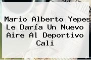 Mario Alberto Yepes Le Daría Un Nuevo Aire Al <b>Deportivo Cali</b>