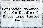 <b>Mariposas Monarca</b> ? Google Doodle: 5 Datos Importantes Que <b>...</b>