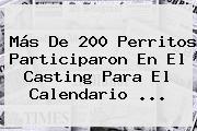 Más De 200 Perritos Participaron En El Casting Para El <b>Calendario</b> ...
