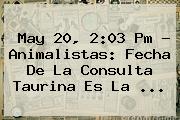 May 20, 2:03 Pm - Animalistas: Fecha De La Consulta Taurina Es La ...