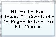 Miles De Fans Llegan Al Concierto De <b>Roger Waters</b> En El <b>Zócalo</b>
