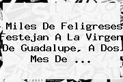 Miles De Feligreses Festejan A La <b>Virgen De Guadalupe</b>, A Dos Mes De <b>...</b>