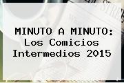 MINUTO A MINUTO: Los Comicios Intermedios <b>2015</b>
