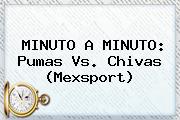 MINUTO A MINUTO: <b>Pumas Vs</b>. <b>Chivas</b> (Mexsport)