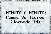 MINUTO A MINUTO: <b>Pumas Vs Tigres</b> (Jornada 14)