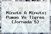 Minuto A Minuto: <b>Pumas Vs Tigres</b> (Jornada 5)