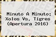 Minuto A Minuto: <b>Xolos Vs</b>. <b>Tigres</b> (Apertura 2016)