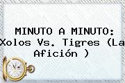 MINUTO A MINUTO: <b>Xolos Vs</b>. <b>Tigres</b> (La Afición )