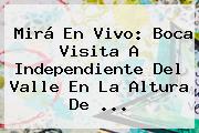 Mirá En Vivo: Boca Visita A Independiente Del Valle En La Altura De ...