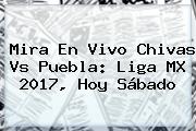 Mira En Vivo <b>Chivas Vs Puebla</b>: Liga MX 2017, Hoy Sábado