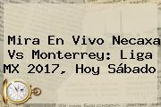 Mira En Vivo <b>Necaxa Vs Monterrey</b>: Liga MX 2017, Hoy Sábado