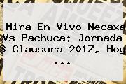 Ver mira en vivo necaxa vs pachuca jornada 3 clausura 2017 hoy Mira En Vivo <b>Necaxa Vs Pachuca</b>: Jornada 3 Clausura 2017, Hoy ...