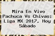Mira En Vivo <b>Pachuca Vs Chivas</b>: Liga MX 2017, Hoy Sábado