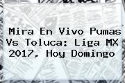 Mira En Vivo <b>Pumas Vs Toluca</b>: Liga MX 2017, Hoy Domingo