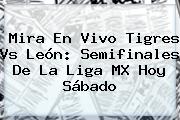 Mira En Vivo <b>Tigres Vs León</b>: Semifinales De La Liga MX Hoy Sábado