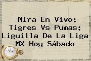 Mira En <b>vivo</b>: <b>Tigres Vs Pumas</b>: Liguilla De La Liga MX Hoy Sábado