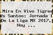 Mira En Vivo Tigres Vs Santos: <b>Jornada 1</b> De La <b>Liga MX 2017</b>, Hoy ...