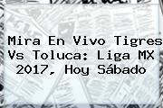 Mira En Vivo <b>Tigres Vs Toluca</b>: Liga MX 2017, Hoy Sábado