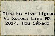 Mira En Vivo <b>Tigres Vs</b> Xolos: Liga MX 2017, Hoy Sábado