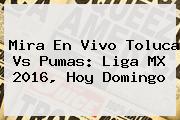 Mira En Vivo <b>Toluca Vs Pumas</b>: Liga MX 2016, Hoy Domingo