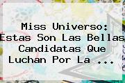 <b>Miss Universo</b>: Estas Son Las Bellas Candidatas Que Luchan Por La ...