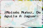 ¿<b>Moisés Muñoz</b>, De águila A Jaguar?