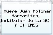 Muere <b>Juan Molinar Horcasitas</b>, Extitular De La SCT Y El IMSS