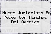 Muere Juniorista En Pelea Con Hinchas Del <b>América</b>