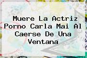 Ver muere la actriz porno carla mai al caerse de una ventana Muere La Actriz Porno <b>Carla Mai</b> Al Caerse De Una Ventana