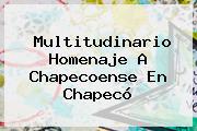 Multitudinario Homenaje A Chapecoense En <b>Chapecó</b>