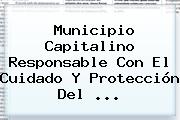 Municipio Capitalino Responsable Con El Cuidado Y Protección Del <b>...</b>