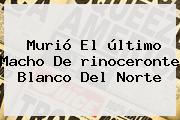 Murió El último Macho De <b>rinoceronte Blanco</b> Del Norte