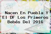 Nacen En Puebla Y El DF Los Primeros Bebés Del <b>2016</b>