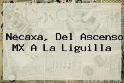 <b>Necaxa</b>, Del Ascenso MX A La Liguilla