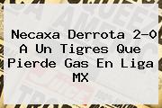 Ver necaxa derrota 20 a un tigres que pierde gas en liga mx Necaxa Derrota 2-0 A Un Tigres Que Pierde Gas En <b>Liga MX</b>