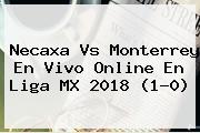 <b>Necaxa Vs Monterrey</b> En Vivo Online En Liga MX 2018 (1-0)