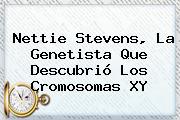 <b>Nettie Stevens</b>, La Genetista Que Descubrió Los Cromosomas XY