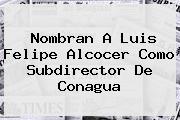 Nombran A Luis Felipe Alcocer Como Subdirector De <b>Conagua</b>