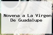 Novena A La <b>Virgen De Guadalupe</b>