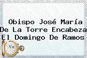 Obispo José María De La Torre Encabeza El <b>Domingo De Ramos</b>