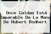 <b>Once Caldas</b> Está Imparable De La Mano De Hubert Bodhert