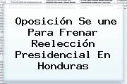 Oposición Se <b>une</b> Para Frenar Reelección Presidencial En Honduras